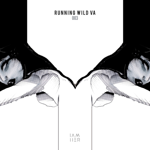 VA - Running Wild VA 003 [IAMHERX091]